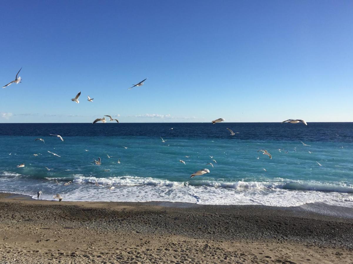 Palais Elisabeth Promenade Des Nice