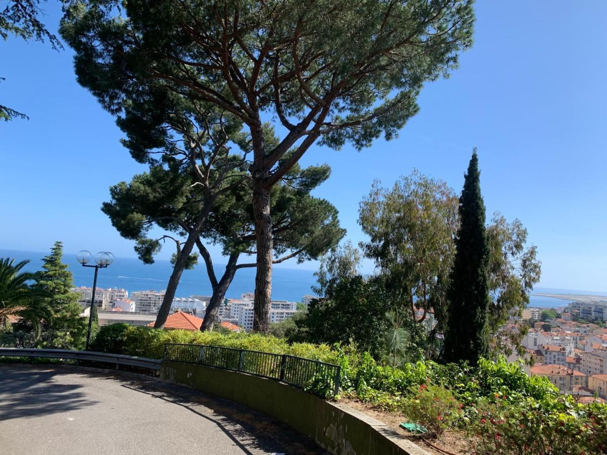 Appartement Nice, Grand Studio - Piscine - Terrasse Vue Mer