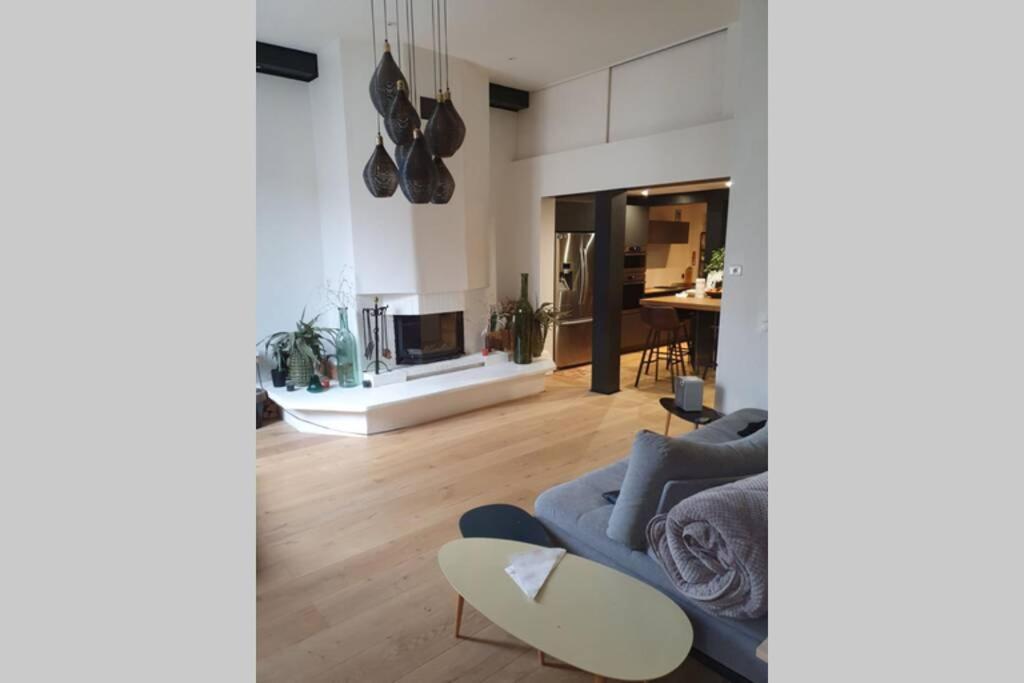 Loft De Type Industriel Et Spacieux * Nice