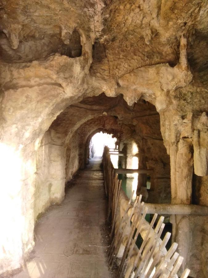 Nice- Gairaut - Jardin Prive- Grand F1 Lumineux-piscine Collective Apartment *