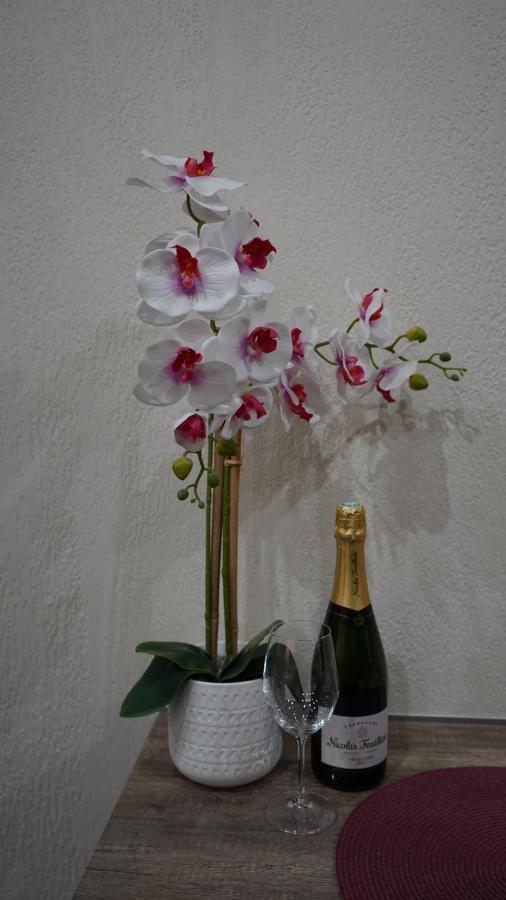 Cozy With A Sea View Apartment