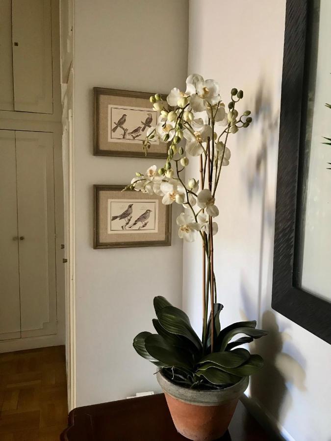 Apartamento Magnifique 2 Pieces De 65m2 -quartier Des Musiciens Nice
