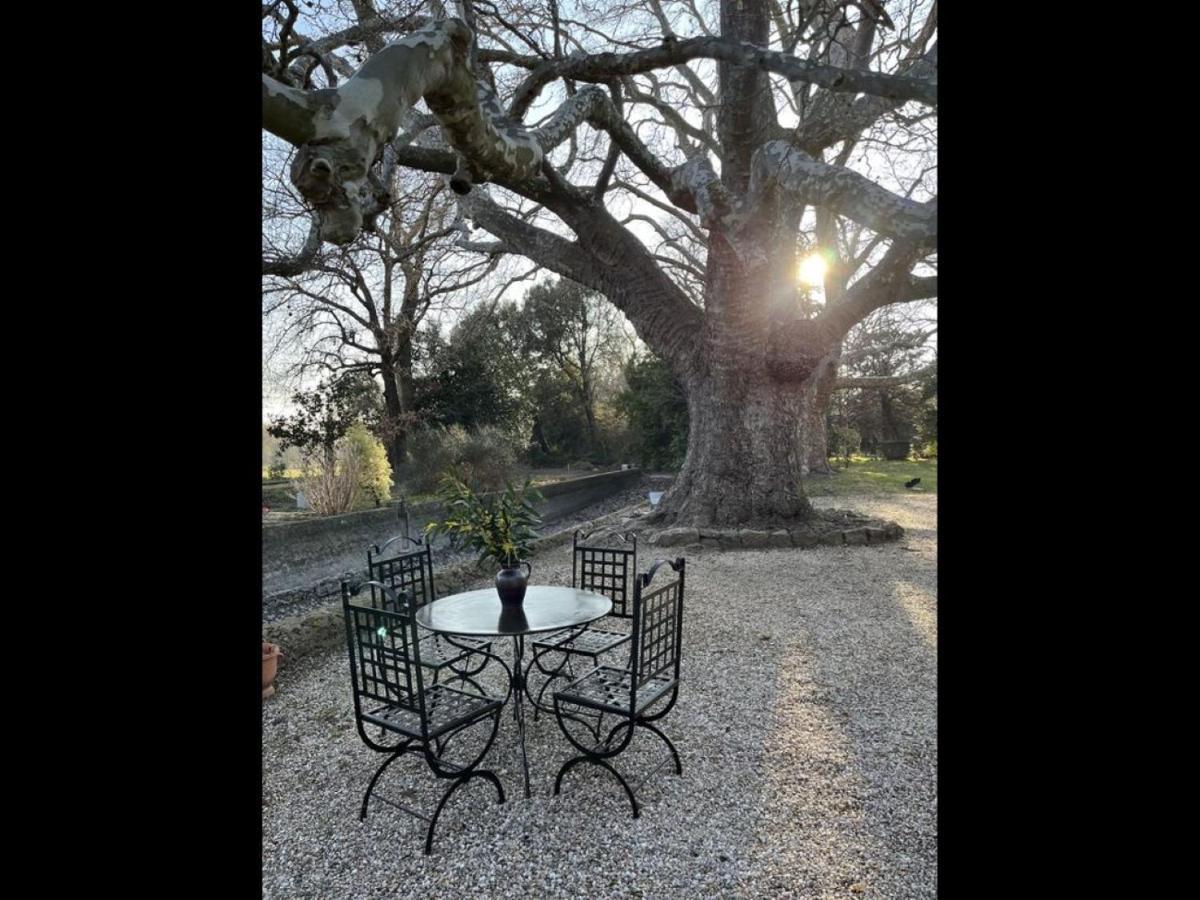 Magnificent 7 Bedroom With Pool In The Heart Of 20 Hectares *
