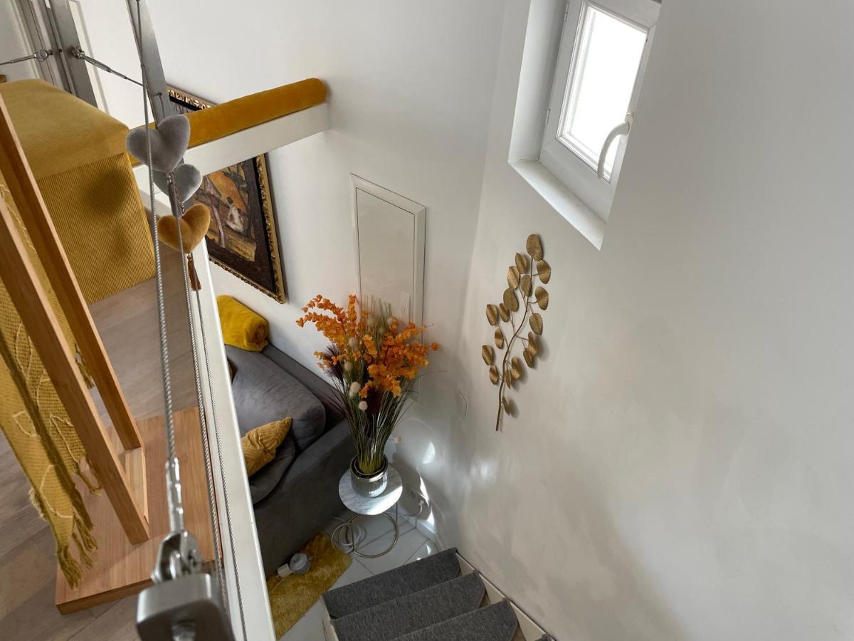 Studio Centre Proche Apartment
