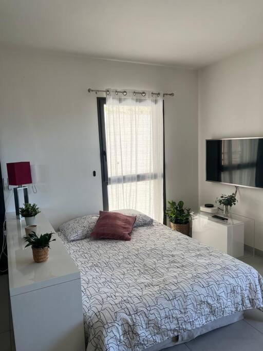 Tres Joli 2 Pieces Calme Ensoleille Avec Piscine * Nice