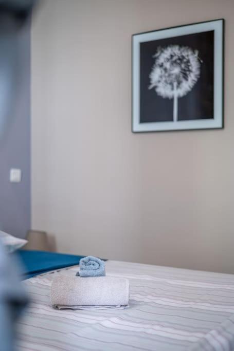 Le Balcon De La Baie Des Anges Nice