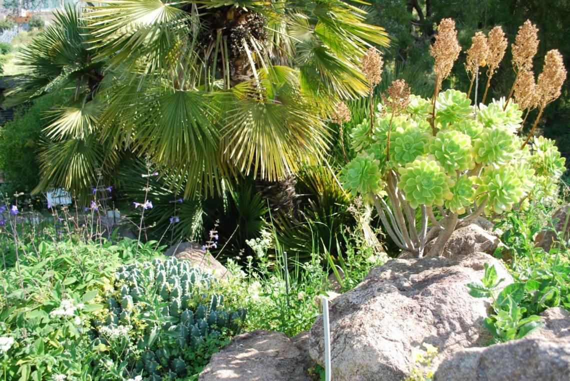 Vue Et Montagne Panoramique * Nice