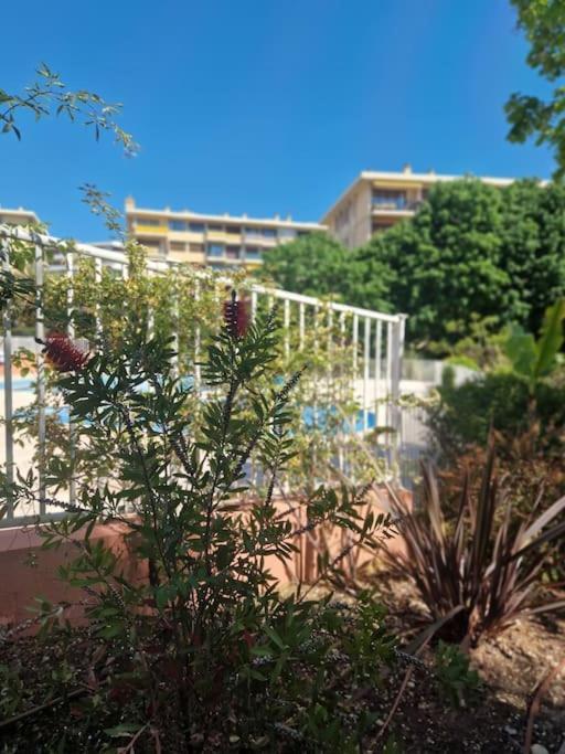 Vue Mer Sur Les Hauteurs De Apartment