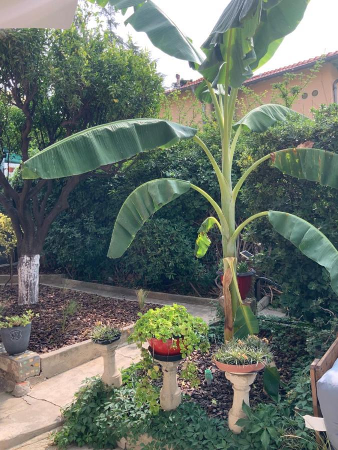 Holiday home Douceur D'azur Nice