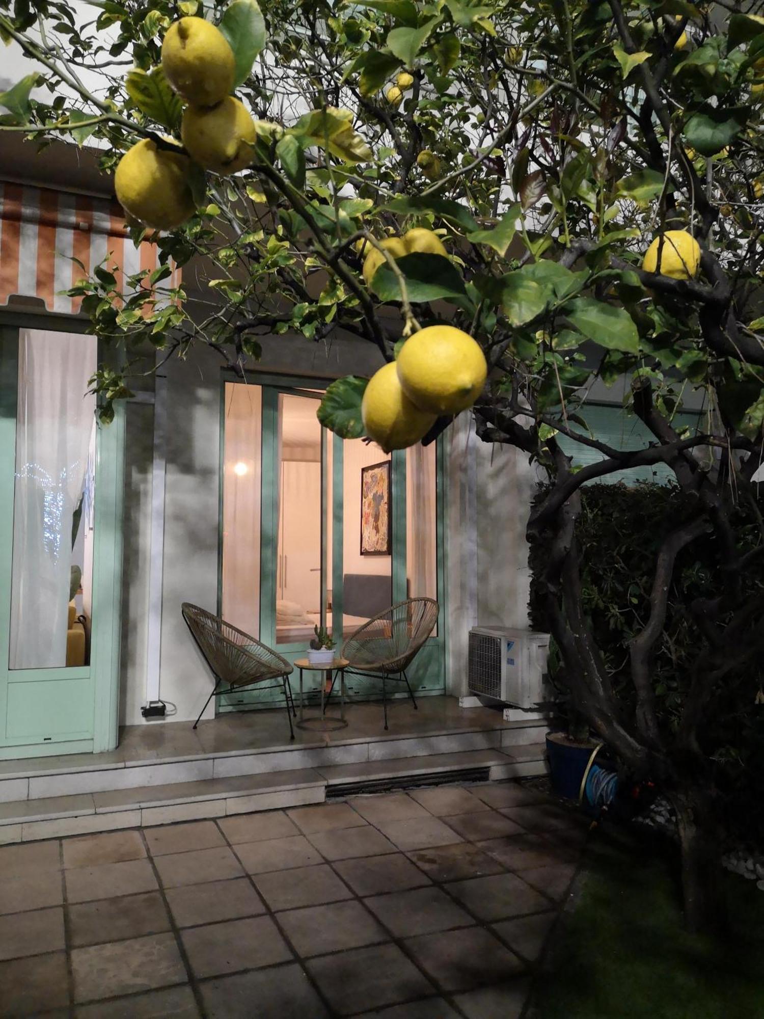 Garden Atlantide Promenade