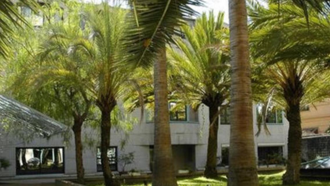 Superbestudio In - 450m Of The Sea- Garden View Nice