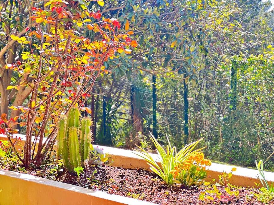 Le Jardin Bleu - Cosy&confort Apartamento Nice