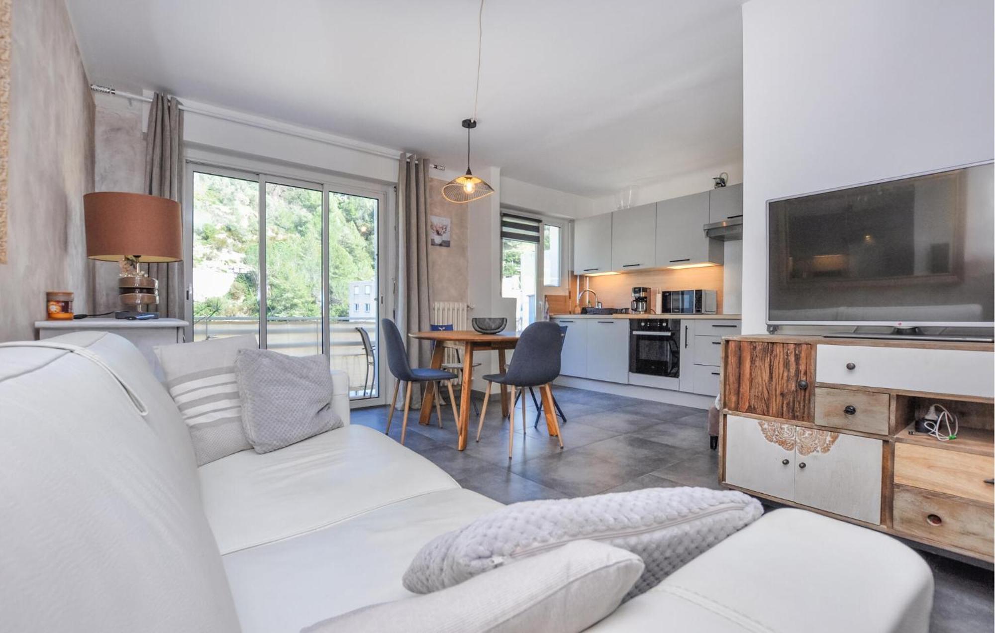 Apartment Amazing In With Kitchen
