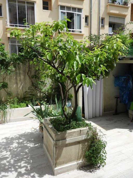 Apartment F4 6 Couchages Terrasse Proche Centre Nice