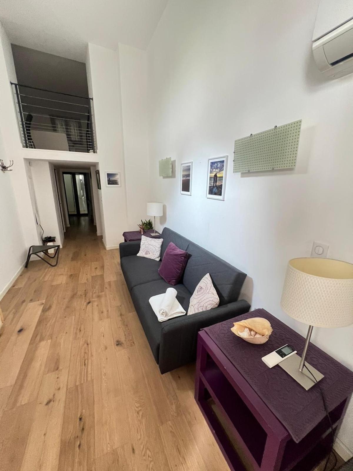 Magnifique Duplex Type Loft Apartamento Nice