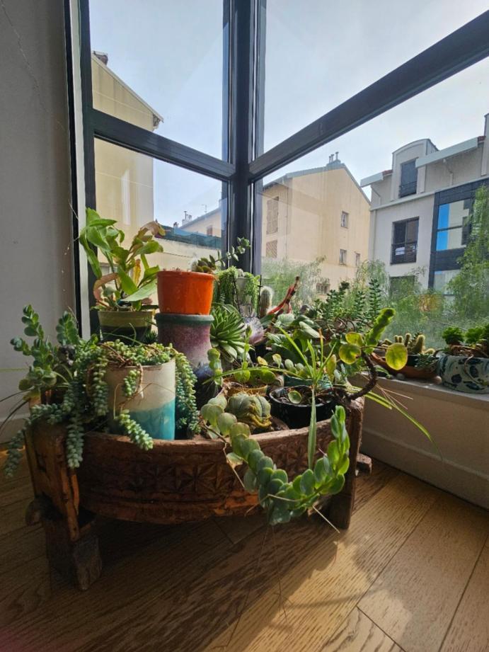 Apartment T2 A La Liberation,