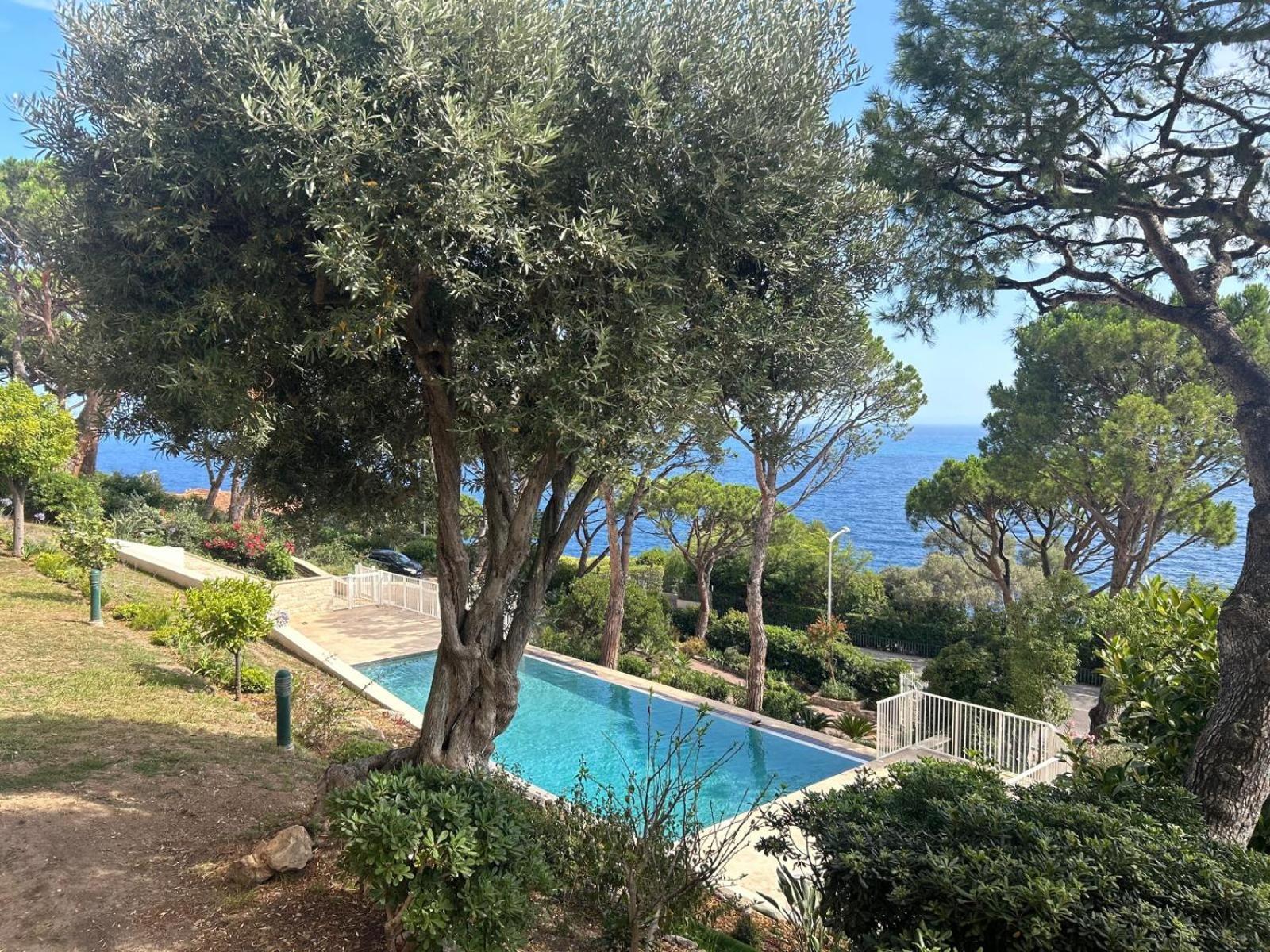 Stunning View And Pool Big Location Apartment *