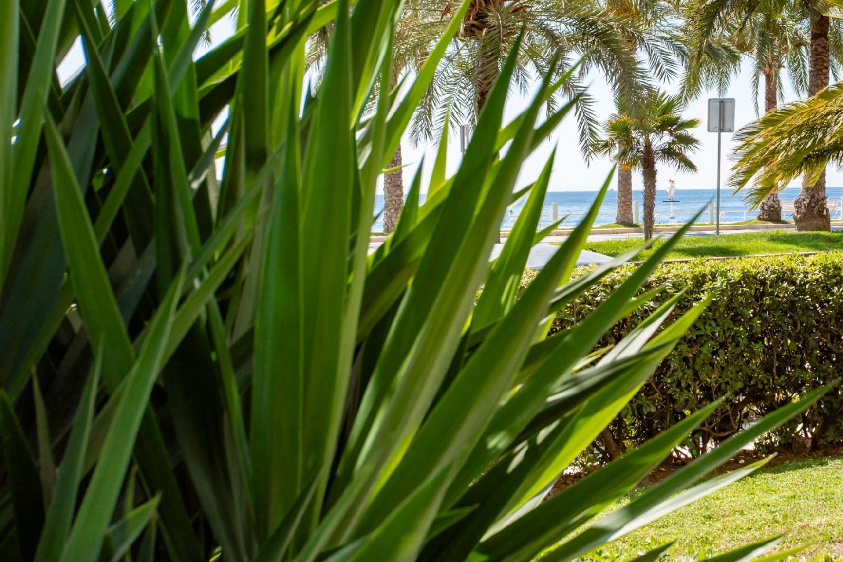 Apartment L54 1bdr Promenade Sea View Ac & Balcony *