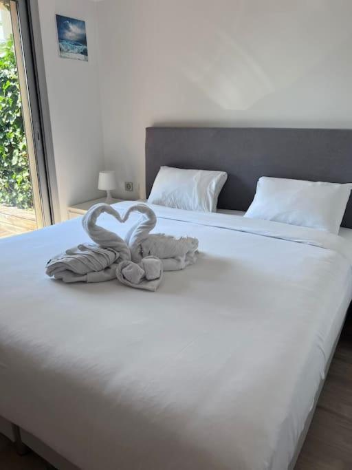 Le Bijou De Valrose - 4 Bedroom With Pool Nice