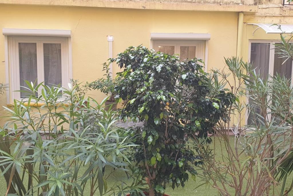 Emme Neuf Independant Centre * Nice