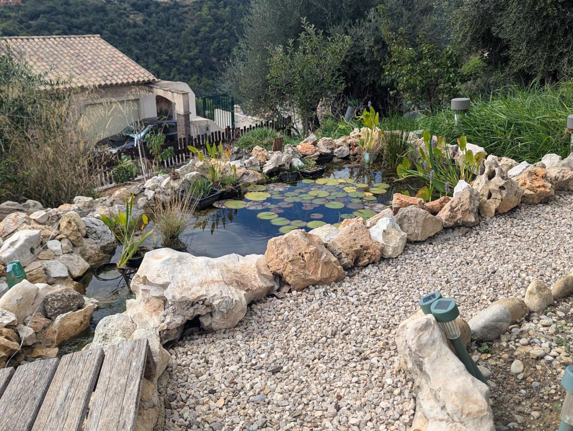 Maison L'aloe Guest house *