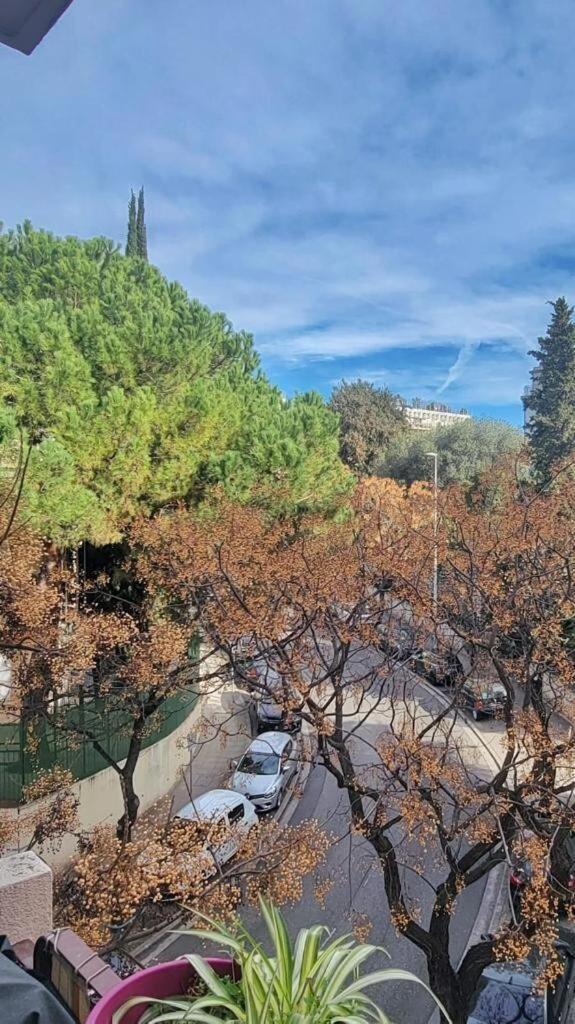 Beautiful 3 - Parking -centre -tram Apartment *