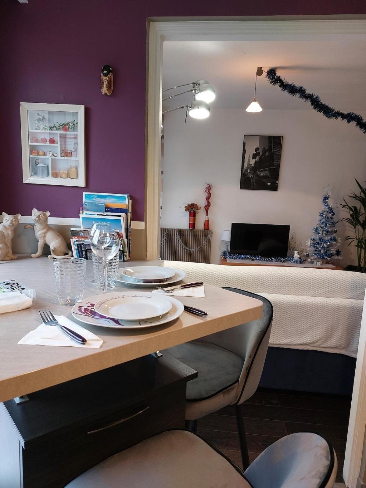 Apartment Cosy F1 Avec Grande Terrasse A 2 Pas Du Tramway Nice