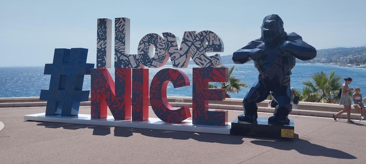 Apartment Vue Et Montagne Panoramique *