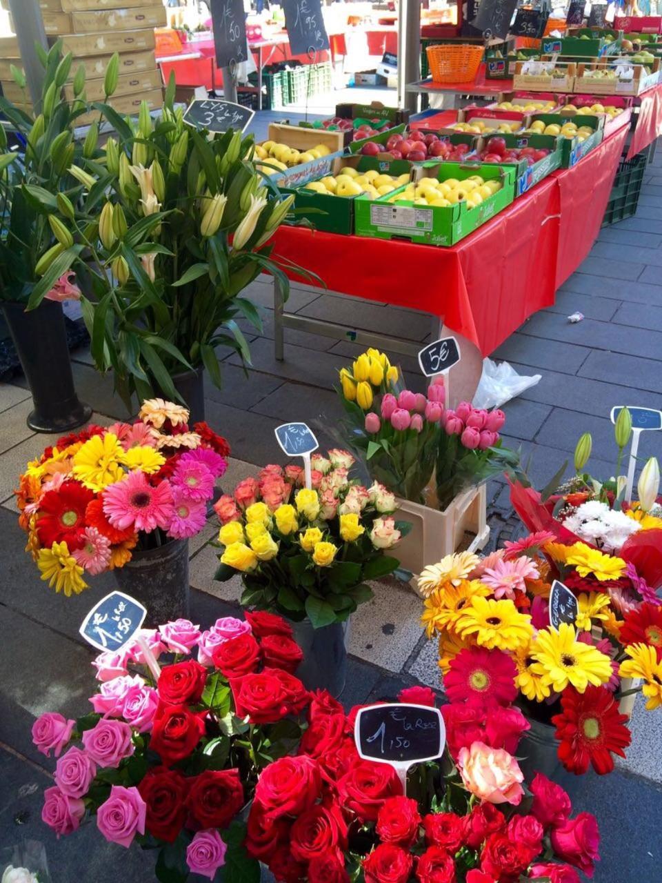 Ma Place Au Sud 604 Apartment Nice