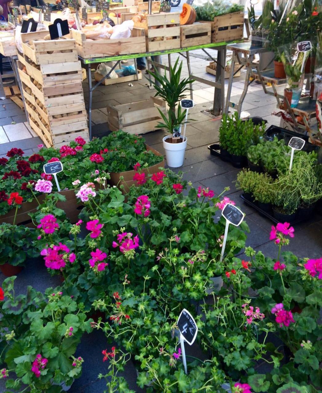 Ma Place Au Sud 604 Apartment Nice