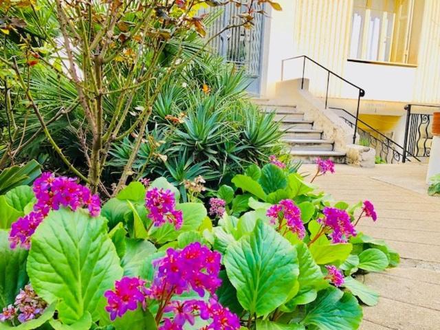 Spacious 5 Min To Sea * Nice