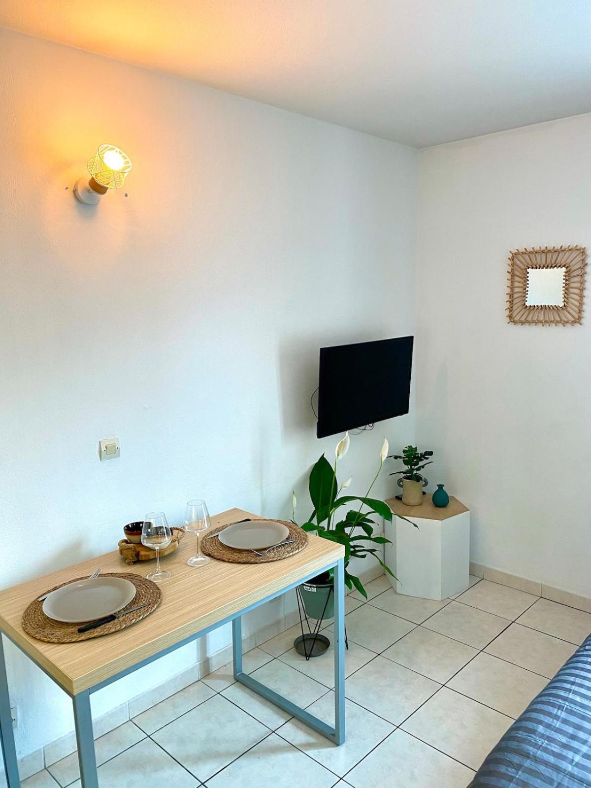 Charming With Swimming Pool Apartment Nice