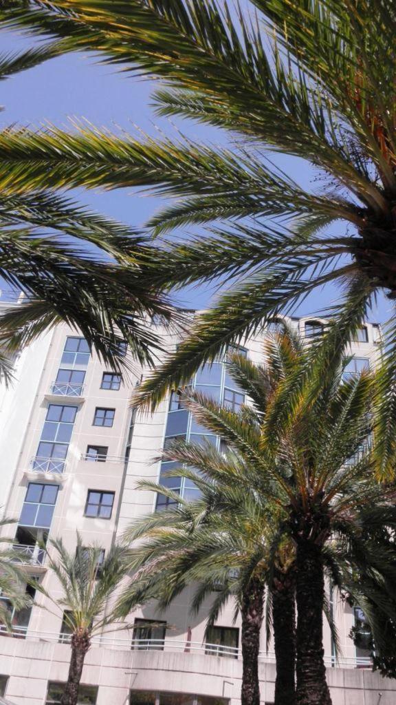 Centre, Magnifique Proche