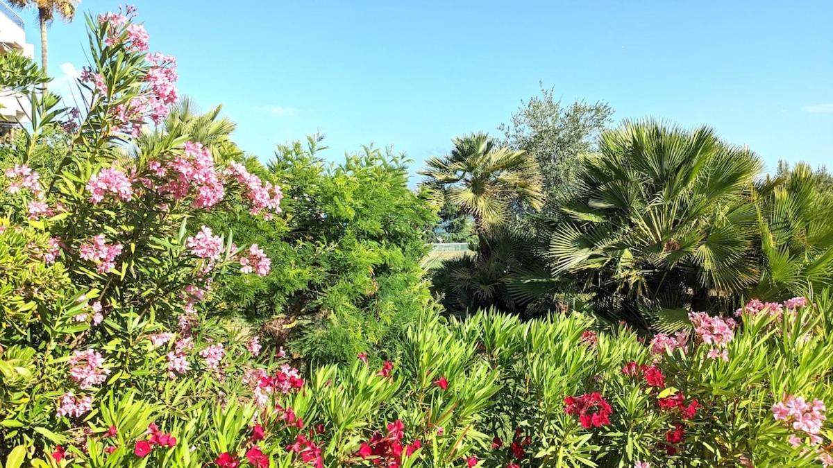 With Terrace, Swimming Pool And Tennis Apartment