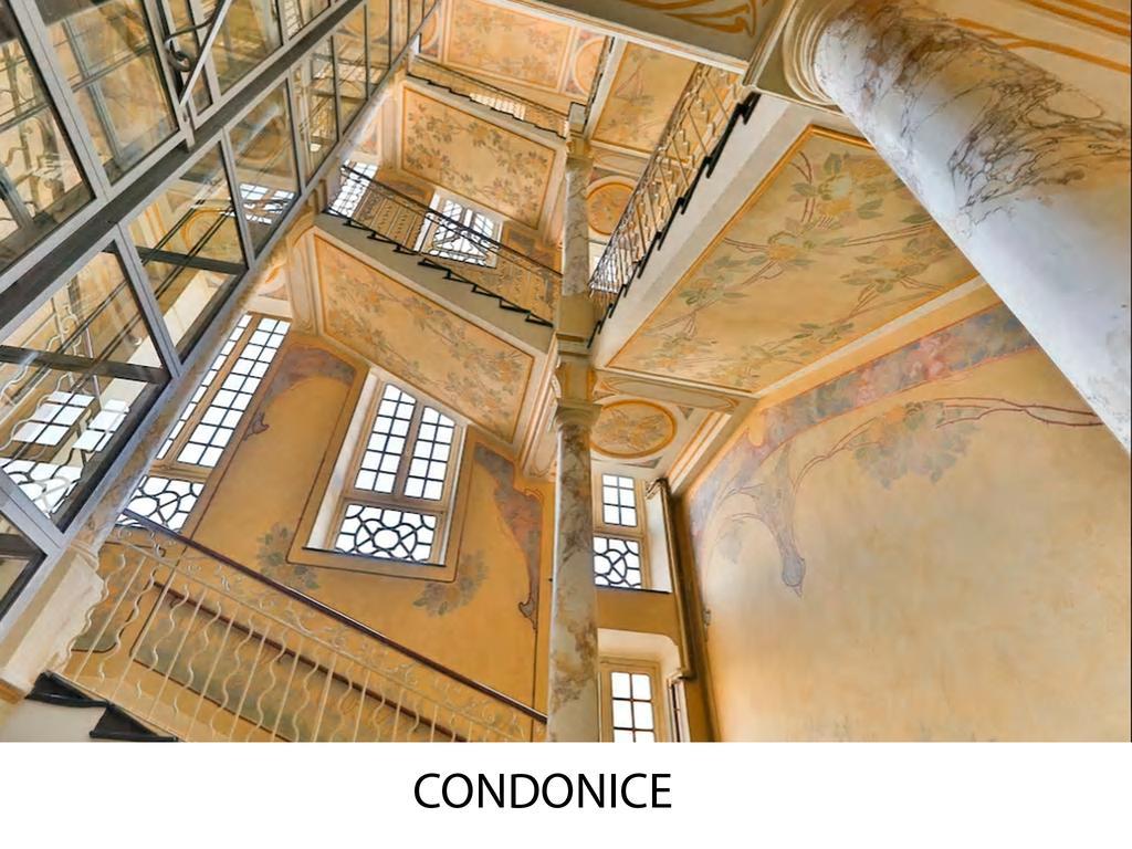 Condonice Nice