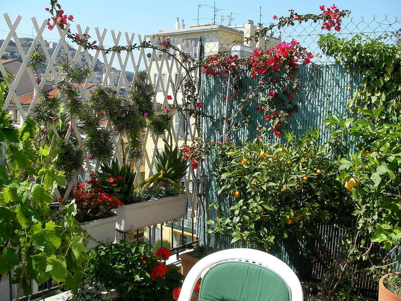 Piron Hotel Nice