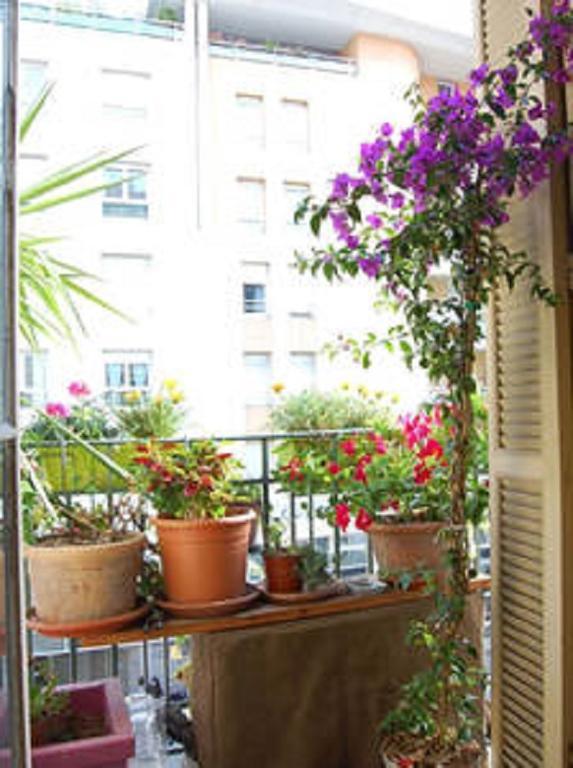 Nissa La Bella Apartment *