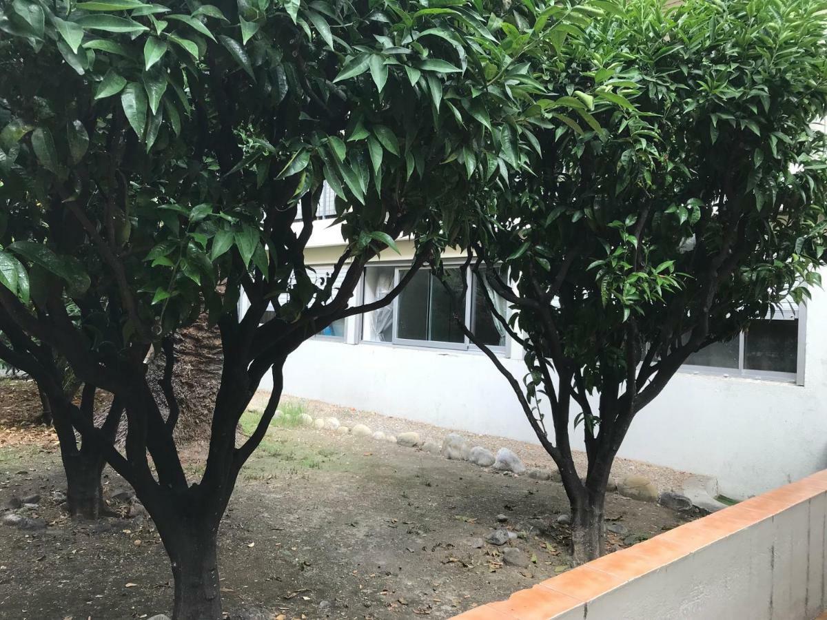Apartment Les Clementines Nice