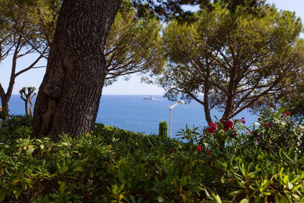 Stunning View And Pool Big Location Apartment Nice