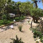 Le jardin du port