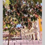 Idealement Situe Vieux Nice Neuf Calme Climatise