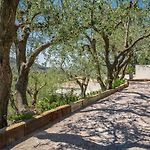 Villa des Oliviers