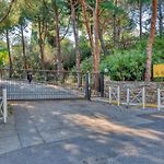 La Terrazza