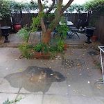 Little Garden