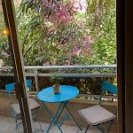 Les Magnolias 06