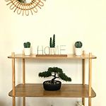Charming Studio