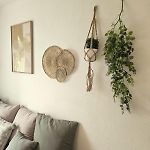 Charming Studio