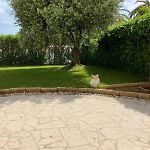 Beautiful 3 Bedroom Apartment With Nice Garden