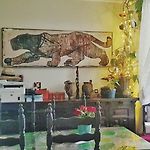 Shared Appartment With Kitten