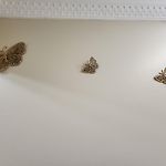 2P Promenade Des Anglais Les Lions By Nicesitter
